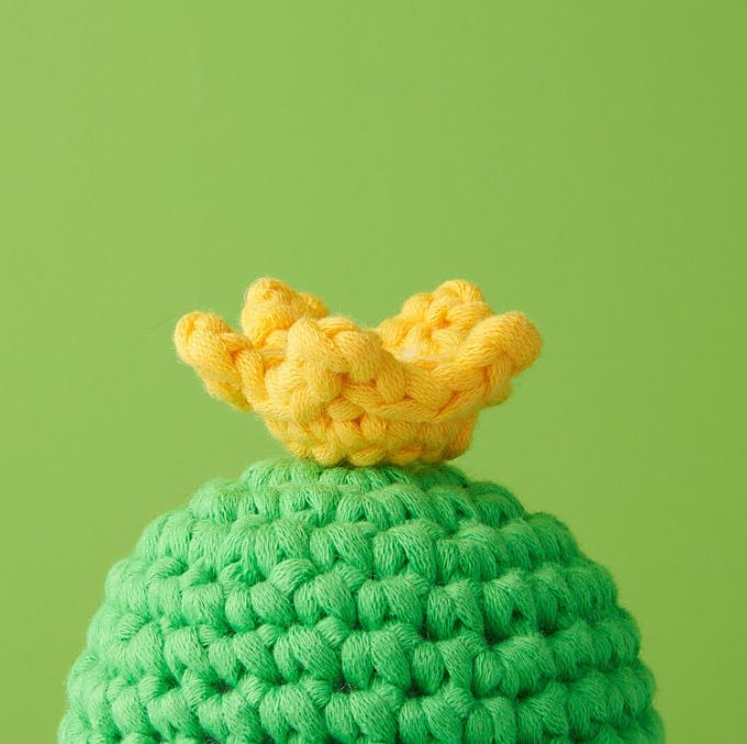 Tiny Crown Accessory Kit