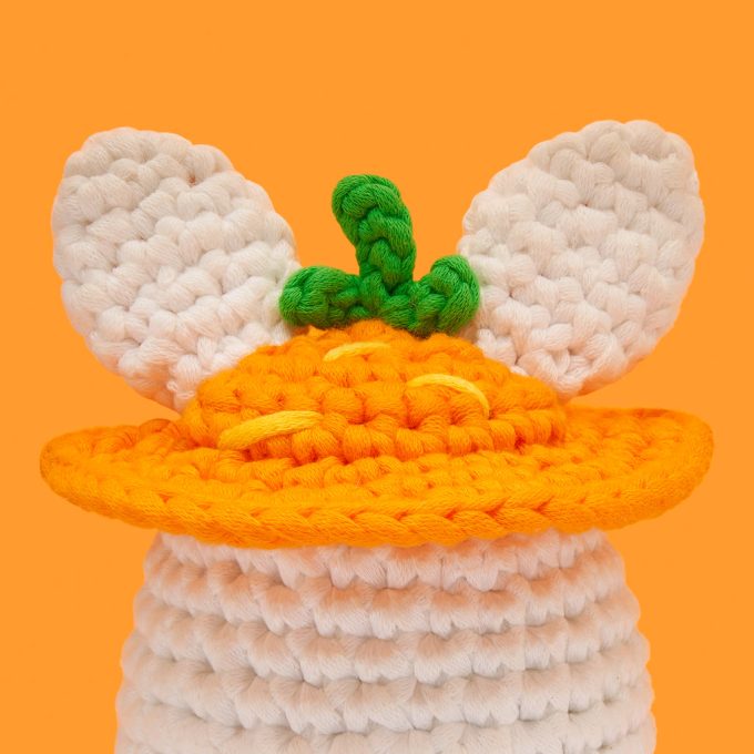 Tiny Carrot Hat Accessory Kit