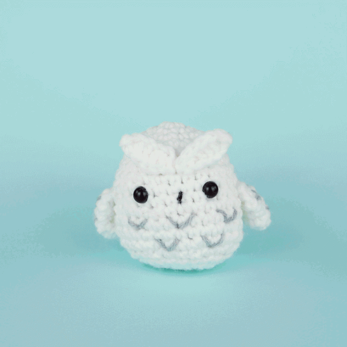 Andy the Owl Crochet Kit